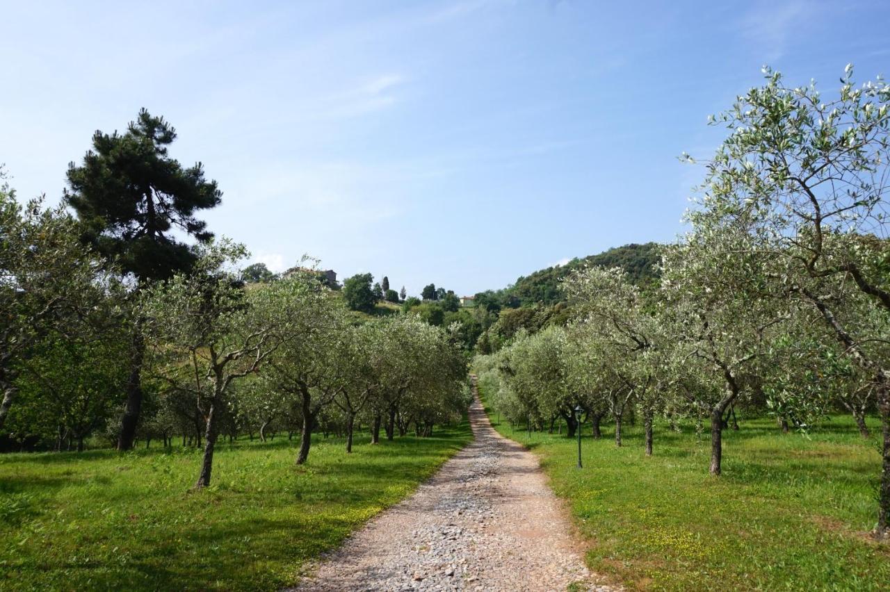 דירות לוקה Agriturismo Le Vallilunghe מראה חיצוני תמונה