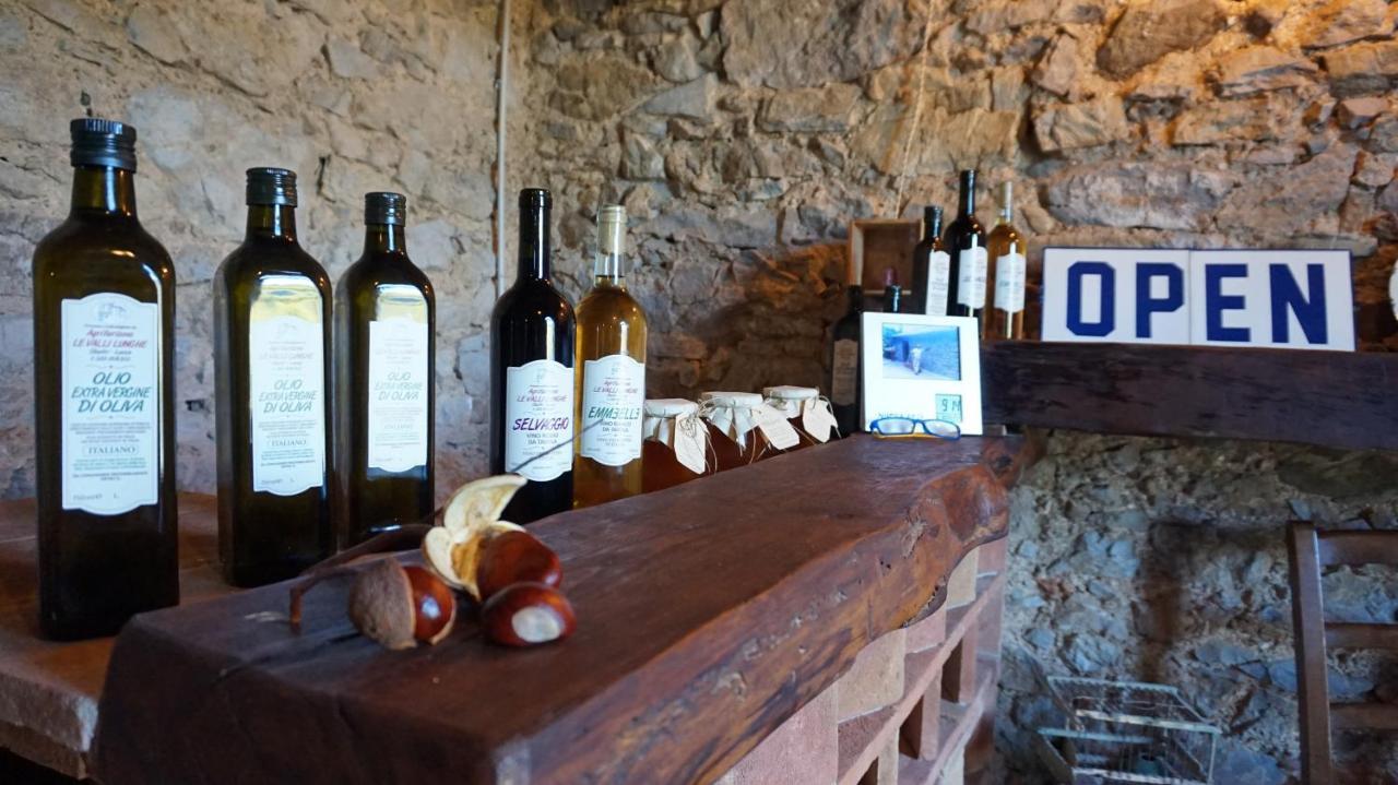 דירות לוקה Agriturismo Le Vallilunghe מראה חיצוני תמונה
