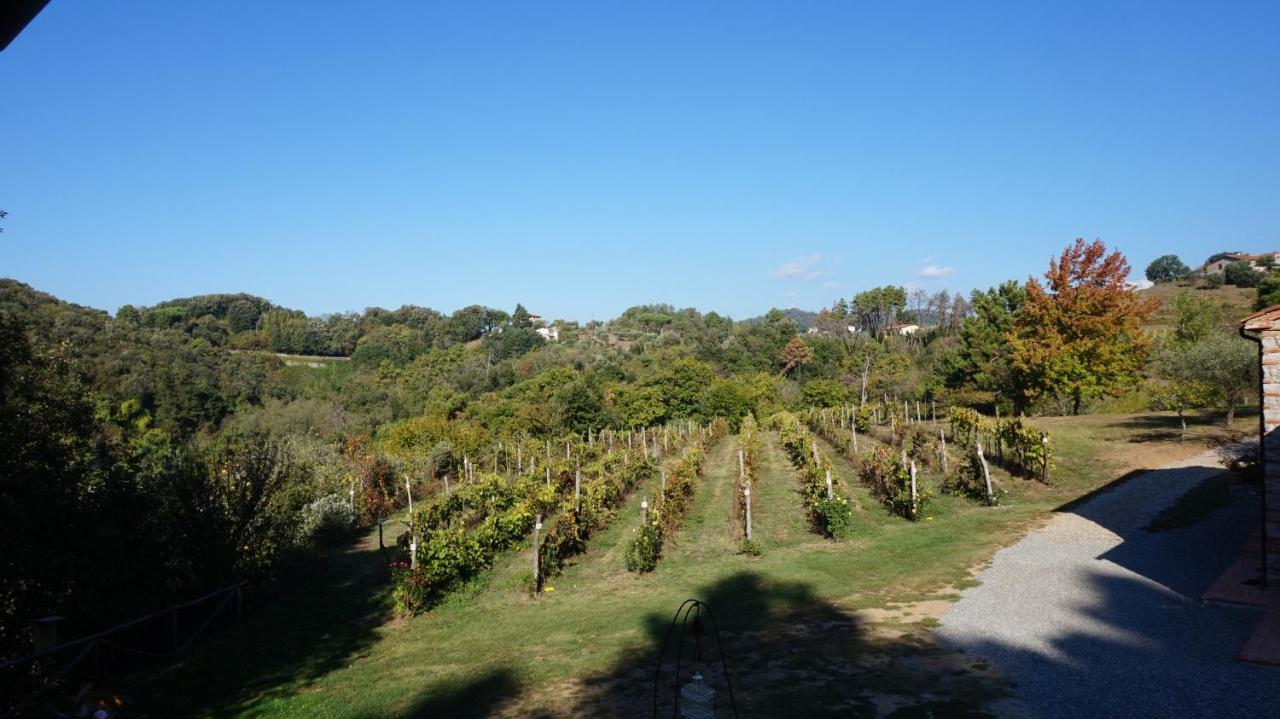 דירות לוקה Agriturismo Le Vallilunghe מראה חיצוני תמונה